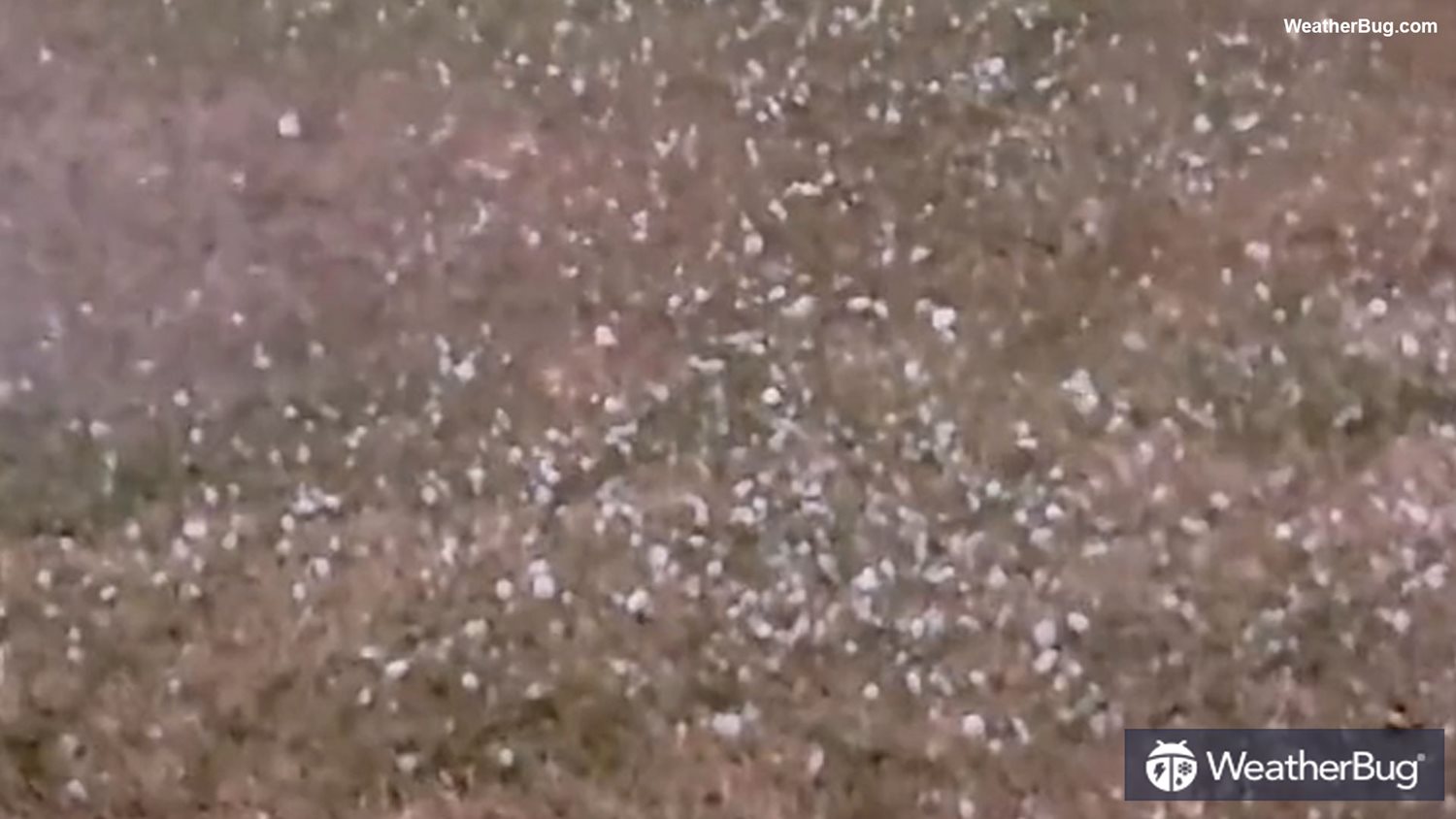 Video: Severe Storm Drops Quarter-Sized Hail in Edmond, Oklahoma ...