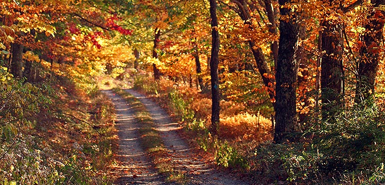 Autumn Car Care Tips | WeatherBug