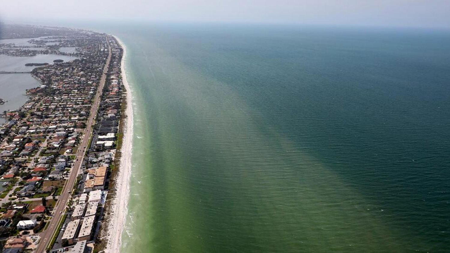 Burning Eyes, Dead Fish; Red Tide Flares Up on Florida Coast ...