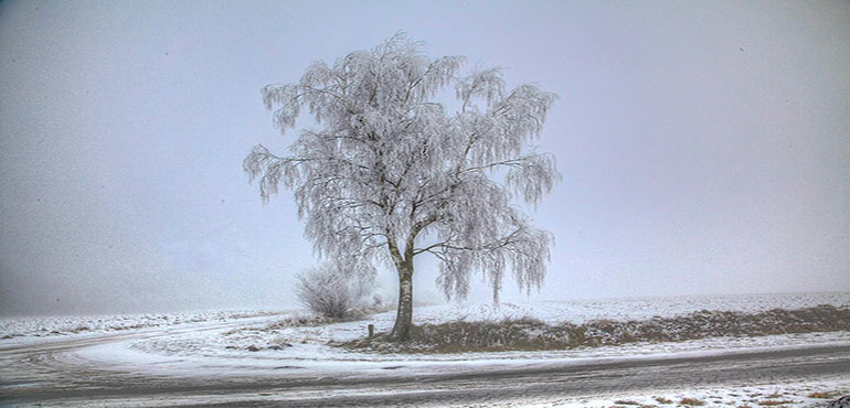 During Extreme Cold: Beware of Hypothermia! | WeatherBug | WeatherBug